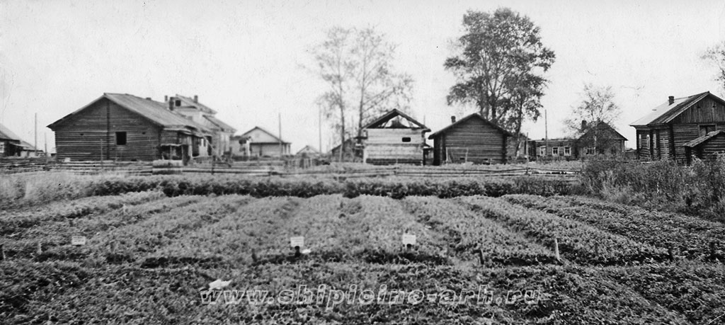        1952 